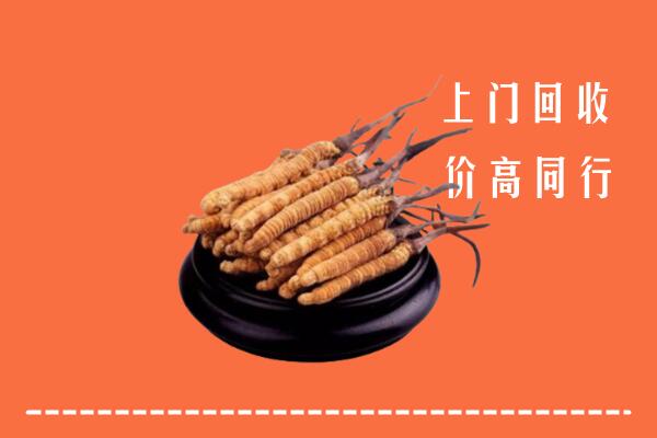 高价求购：重庆石柱回收散虫草