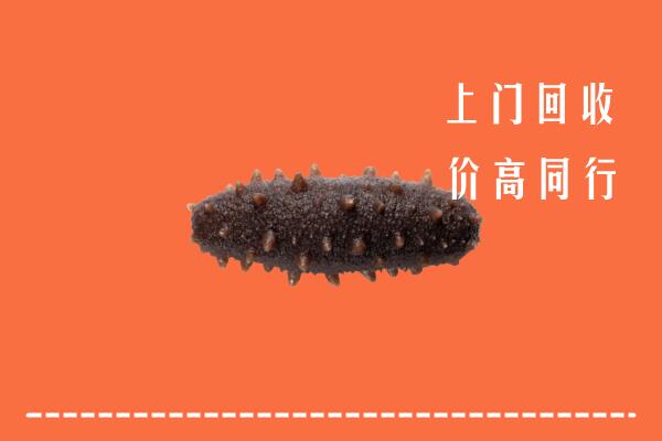 高价求购：重庆石柱回收海参