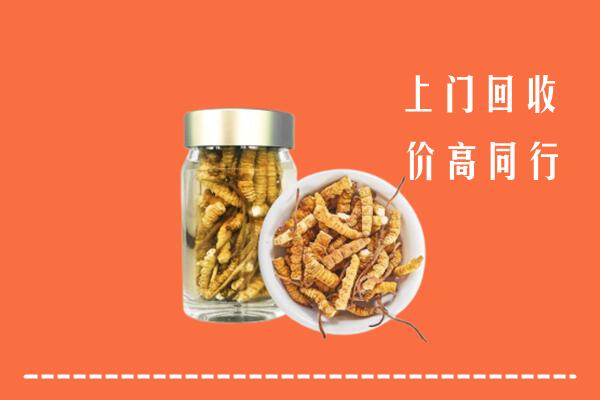 重庆石柱回收冬虫夏草